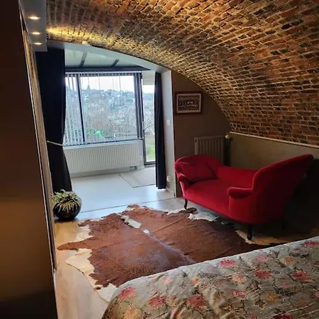 Apartment De Charme Et Jardin *